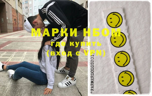 индика Бронницы